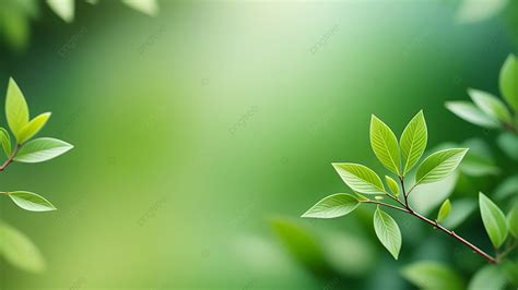 Green Blurred Nature Background, Wallpapers, Backdrop, Green Background ...