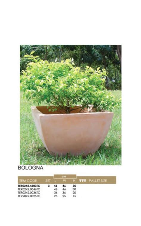 Bologna Rosa Planters Vietnam Co Ltd