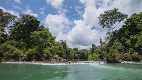 Chiapas reconoce a los protectores y vigías de la Selva lacandona ...