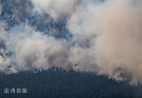 千年一遇极端高温已致北美近600人死亡，彭博社文章标题直接“归咎中国”