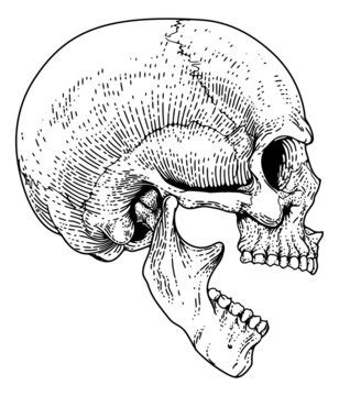 Open Mouth Drawing Skull