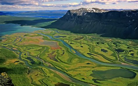 GoS watches | Sarek