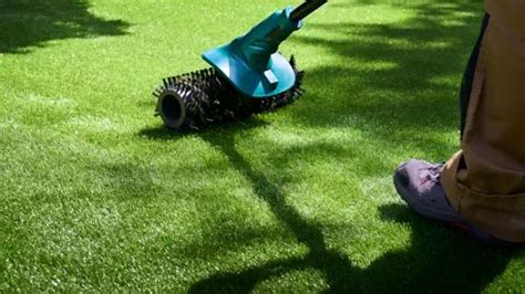 7 Effective Ways To Clean And Maintain Artificial Grass Best Grass Trimmer