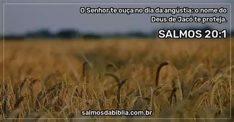 Salmo O Senhor Te Ou A No Dia Da Ang Stia O Salmos Da B Blia