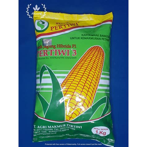 Jual Benih Bibit Jagung Hibrida F1 Pertiwi 3 Kemasan 1Kg Original