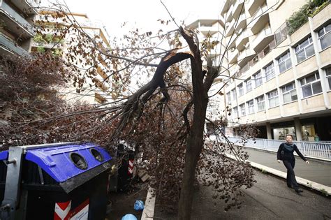 Maltempo Roma Strage Di Alberi Nella Capitale Danni In Numerose Zone