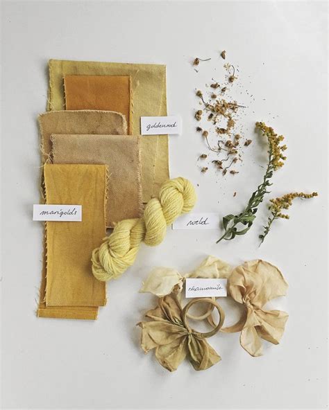 Local Dye Plants Easy To Collect Botanical Colors In 2020 Natural