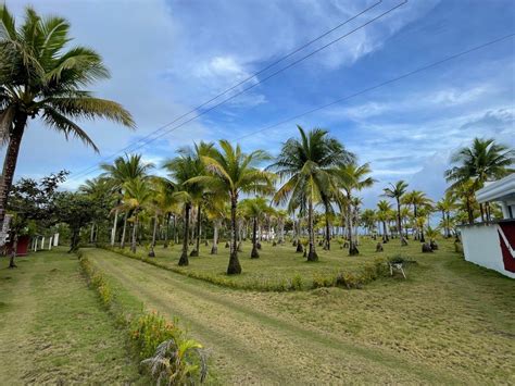 Beach Front Property Located In Brgy Agojo San Andres Catanduanes