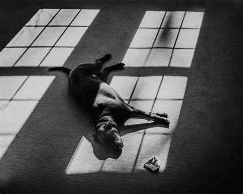 Laying In A Hot Spot Hot Spot Model Photography