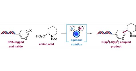 On Dna Decarboxylative Arylation Merging Photoredox With Nickel