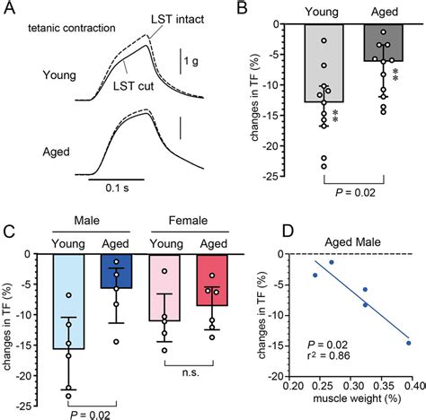 Effect Of Lumbar Sympathetic Trunk Lst Transection On The Tetanic