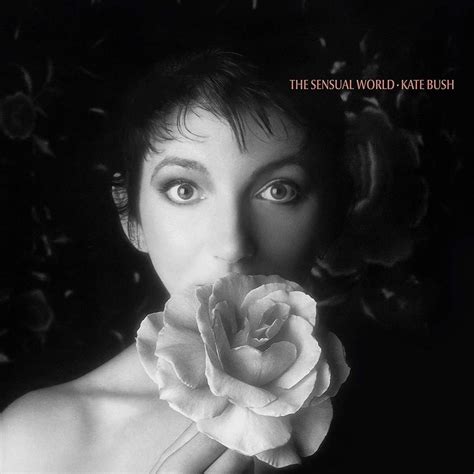 Genius Brasil Traduções Kate Bush — The Sensual World Tradução Em