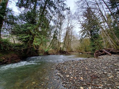 Work Party At Pysht River Conservation Area North Olympic Land Trust