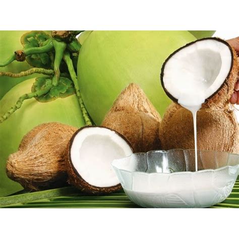 Jual Kelapa Setengah Tua Kelapa Untuk Sayur Oblok Oblok Kelapa Kelapa