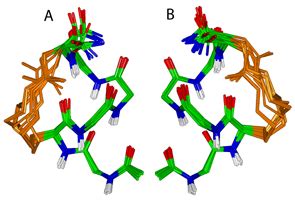 Fairlie Group Medicinal Chemistry And Pharmacology Research At