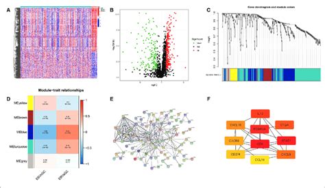 De Irgs And Hub Genes A Heatmap For De Irgs Among Ebvagc And Download Scientific Diagram