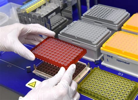 Genetic Sequencing Tests Routinely Fail to Analyze Large Segments of ... 