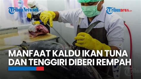 Manfaat Kaldu Dari Ikan Tuna Dan Tenggiri Yang Diberi Rempah Bagi