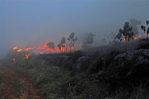 Problemática Ambiental En La República Dominicana Año 2016 Acción Verde El Portal Ambiental