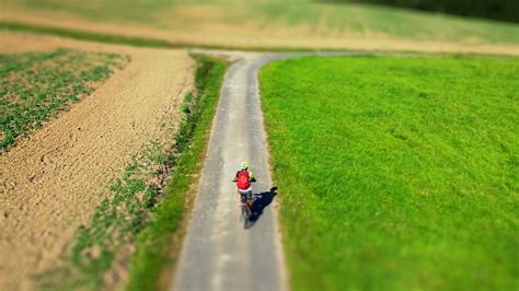 Tilt Shift, Landscape, Forest. Free Stock Video - Pixabay