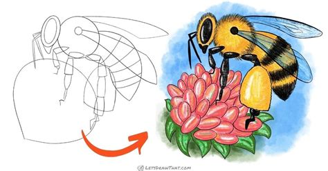 Details more than 127 honey bee images for drawing best - seven.edu.vn