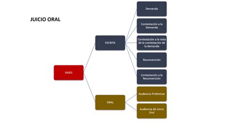 EL JUICIO ORAL MERCANTIL YouTube