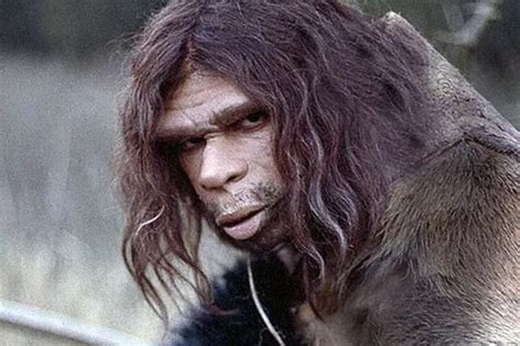 Caveman Dna Exists In Us Say Experts Mirror Online