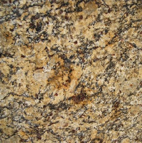 Giallo Portofino Granite Gold Granite Stonecontact