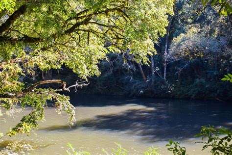 Conheça o Parque das Araucárias em Passos Maia