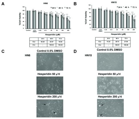 Viability And Morphology Of Oral Cancer Cells Upon Treatment With