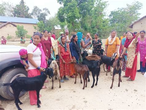 किसानलाई बाख्रा वितरण Pradesh Today