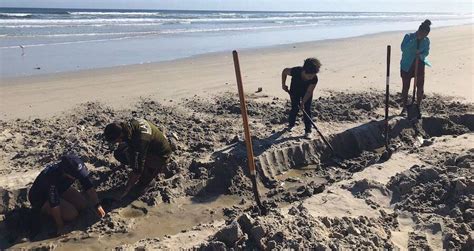 Hurricane Erosion Reveals 19th Century Shipwreck In Florida