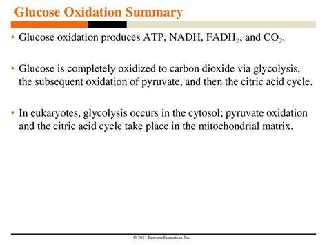 Cellular Respiration and Fermentation - ppt download