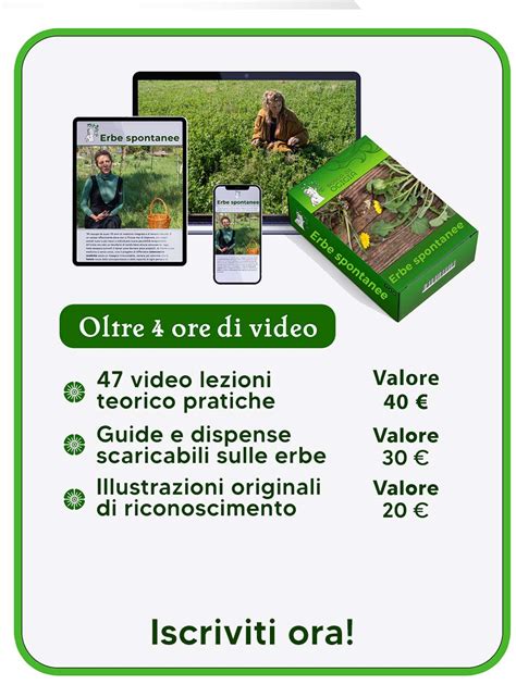 Corso Erbe Spontanee Scopri Il Video Corso Bosco Di Ogigia