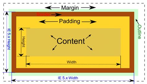 Basics About CSS Box Model DEV Community