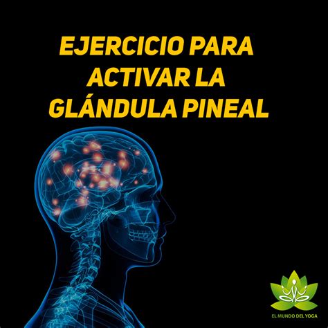 Ejercicio para activar la glándula pineal Glándula pineal El mundo