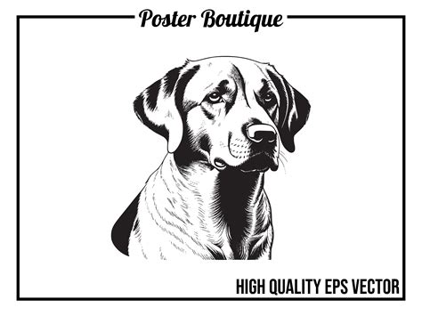 Labrador Dog Vector Eps Graphic By Poster Boutique · Creative Fabrica