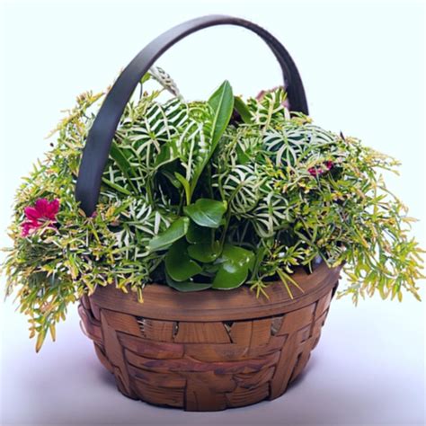 Premium Ai Image Plant Or Flower In A Basket