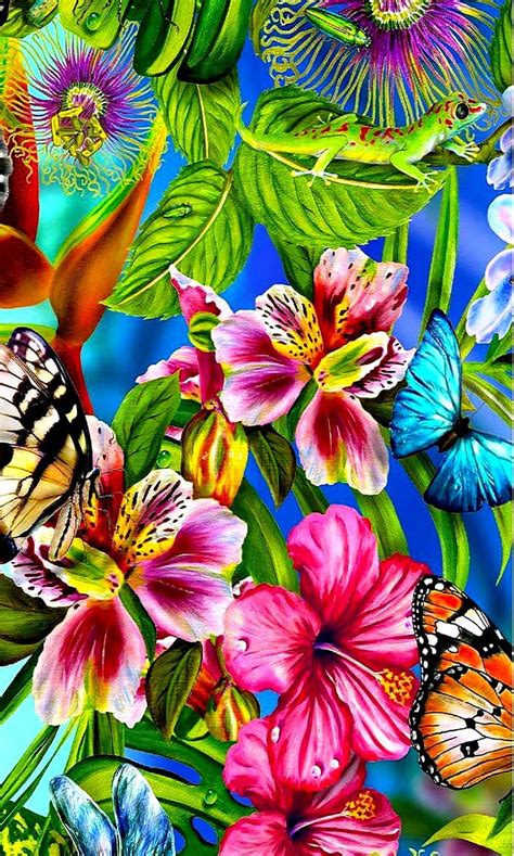 Jungle Butterfly Color Hd Phone Wallpaper Peakpx