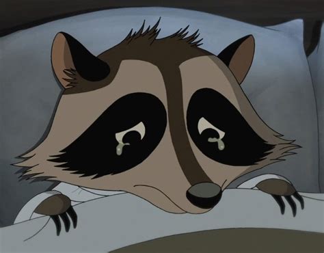 A Picture Of A Crying Cartoon Raccoon That Im Going To Tell You All Is