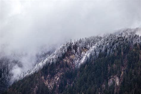 Free Images Tree Nature Forest Wilderness Snow Winter Cloud