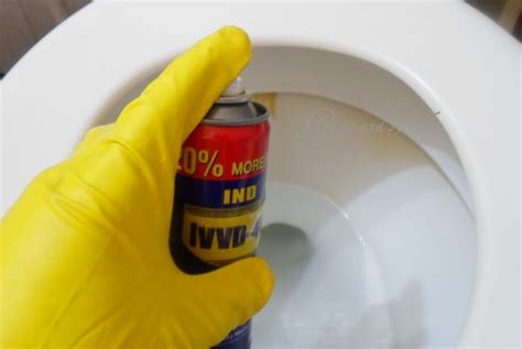 How To Remove Hard Water Stains From Your Toilet Bowls If You Want To