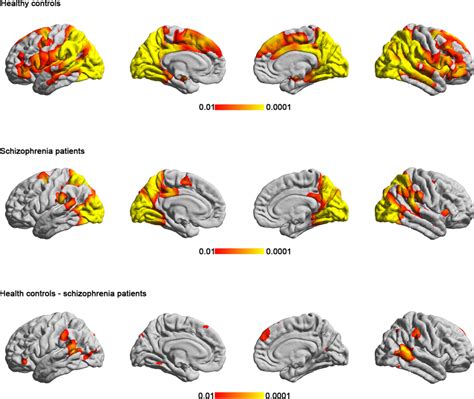 The Cortical Regions Showing Statistically Significant Group Level ISC