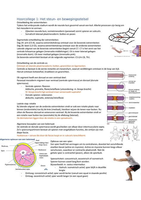 Hoorcollege 1 Het Steun En Bewegingsstelsel Hoorcollege 1 Het Steun