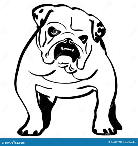 English Bulldog Hand Drawn Crafteroks Svg Free Free Svg File Eps Dxf