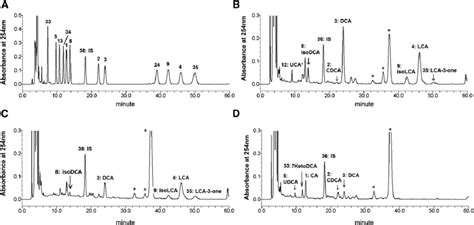 Comparison Of Hplc Chromatographic Patterns Of The Bile Acid