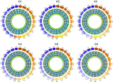 Genome Wide Distribution Of Ress Each Circle Represents The Number Of