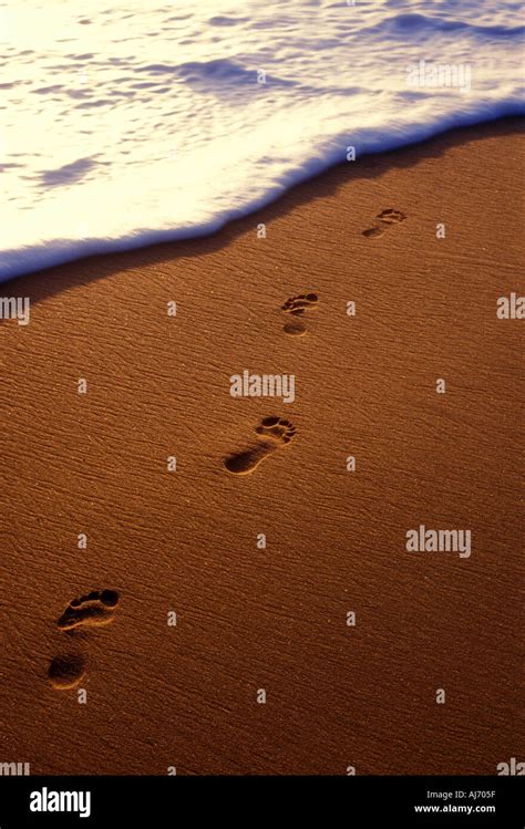 Foot Steps Along Beach Beach Hi Res Stock Photography And Images Alamy