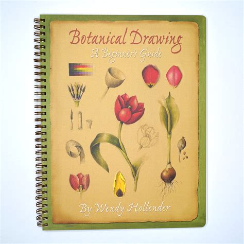 Botanical Drawing, A Beginner's Guide New Edition - Draw Botanical LLC