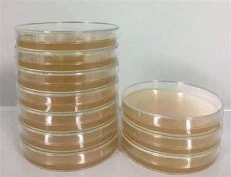 Agar Plates - Sheep Blood Agar Plate Manufacturer from Chennai